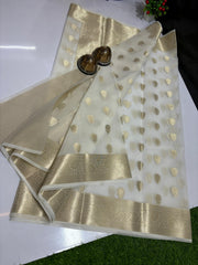 Wholesale Price Banarasi Kora Organza Silk Saree with Zari Work Order Sample