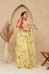 Wholesale Quantity Organza Silk Hand-Painted Saree Order Sample